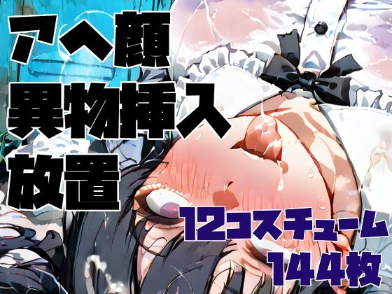 アヘ顔異物挿入ゴミ捨て場放置CG集 / 12コスチューム/ 144枚