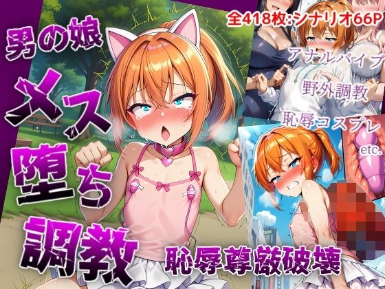 男の娘メス堕ち調教・恥辱尊厳破壊〜お姉さん達に恥ずかしい恰好で責められて尊厳破壊されメス堕ち屈服させられちゃう男の娘の話