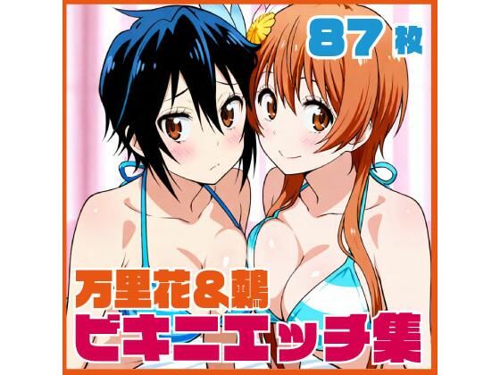 万里花＆鶫 お部屋でビキニエッチCG集
