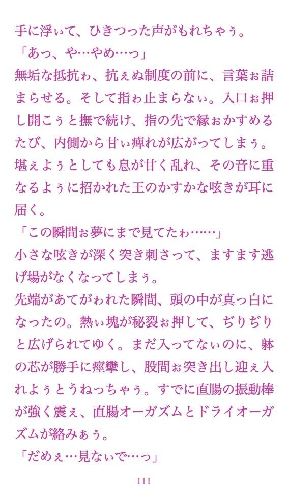 聖フタナリ王国誌 完全版 全十二章 - サンプル画像 9