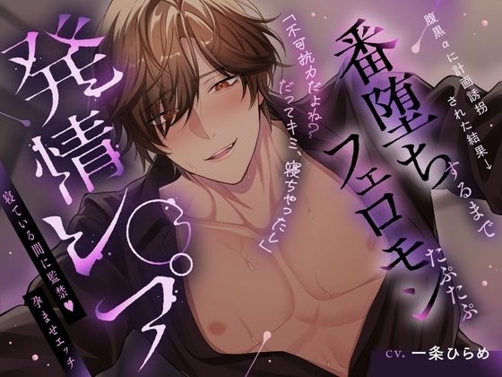 【腹黒オメガバ】腹黒αに計画誘拐された結果→番堕ちまでフェロモンたぷたぷ発情レ○プ