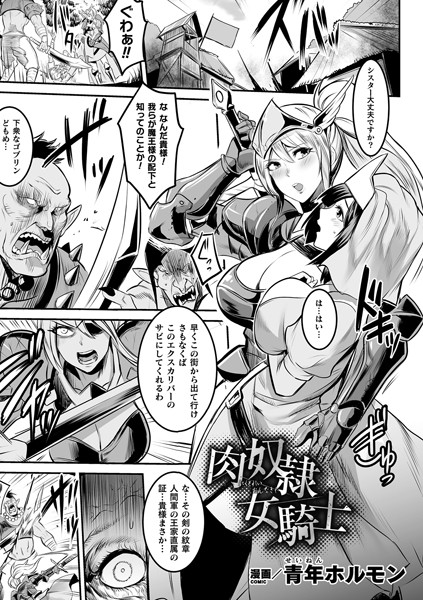 肉奴●女騎士（単話）